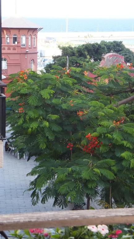 Casa Colonial Cejas Ξενοδοχείο Σάντα Κρουζ Τενερίφης Δωμάτιο φωτογραφία