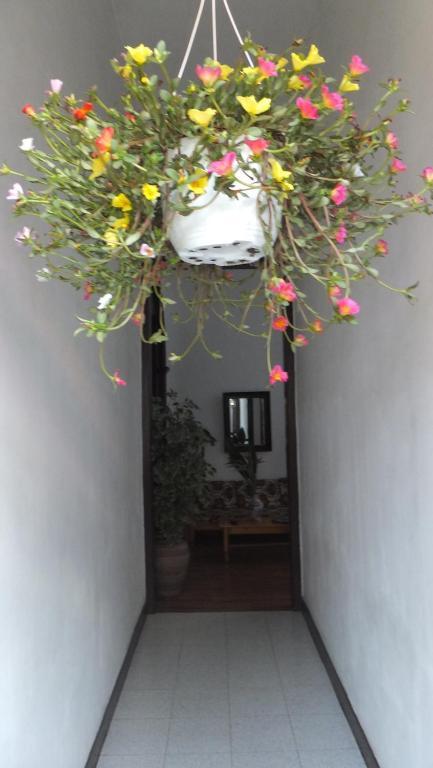 Casa Colonial Cejas Ξενοδοχείο Σάντα Κρουζ Τενερίφης Εξωτερικό φωτογραφία