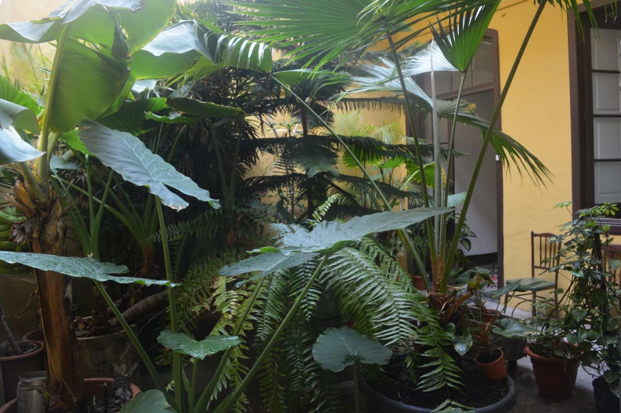 Casa Colonial Cejas Ξενοδοχείο Σάντα Κρουζ Τενερίφης Εξωτερικό φωτογραφία